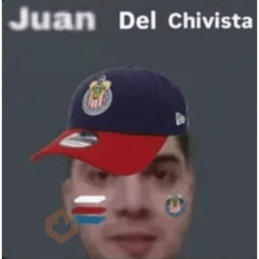 CHIVAS sticker 12