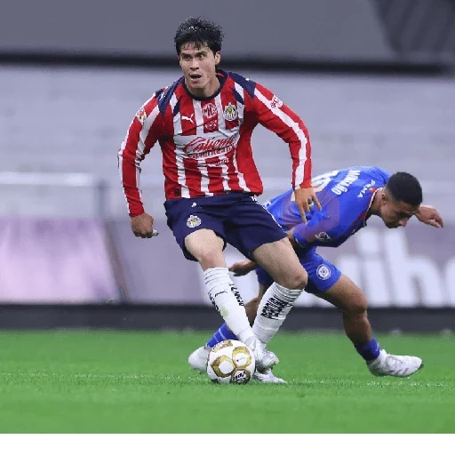 chivas mods ⚽️2026 sticker 11