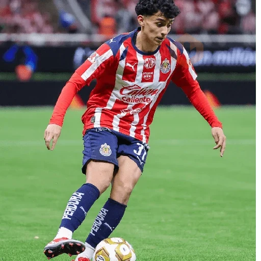 chivas mods ⚽️2026 sticker 15