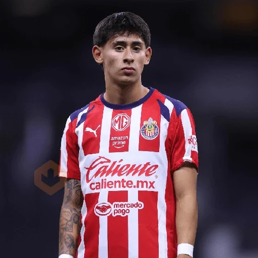 chivas mods ⚽️2026 sticker 19