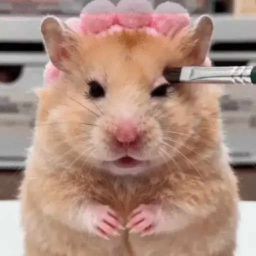 💄 Hamster Maquillándose 🎀💅 sticker 12