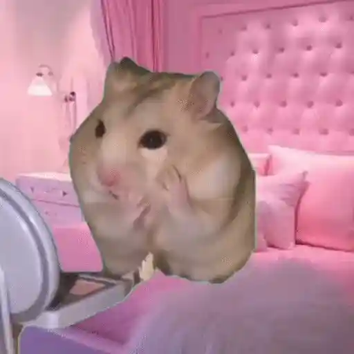 💄 Hamster Maquillándose 🎀💅 sticker 11