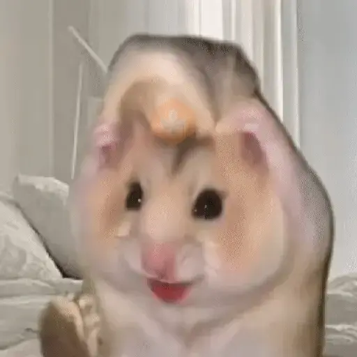 💄 Hamster Maquillándose 🎀💅 sticker 13