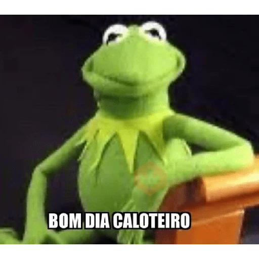 Novos memes fotos 6 sticker 25