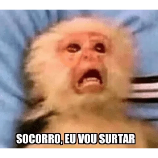 Novos memes fotos 6 sticker 26