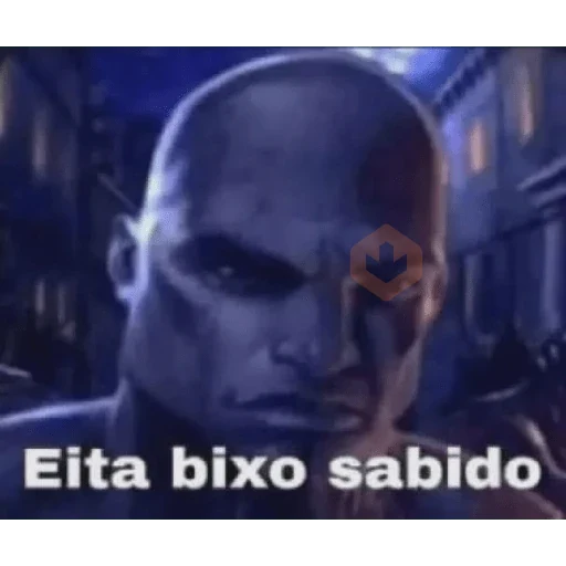 Novos memes fotos 6 sticker 11