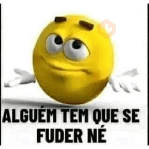 Novos memes fotos 6 sticker 15