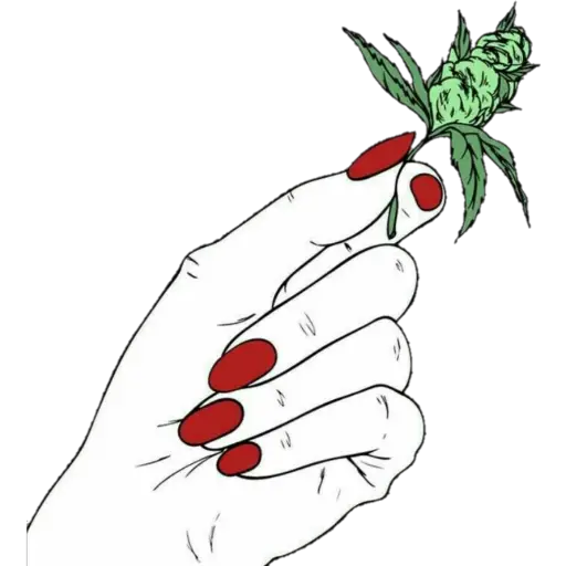 Manos Aesthetic 1