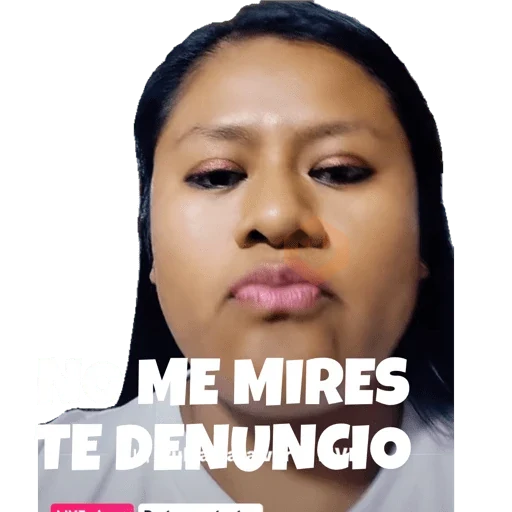 Mis pegatinas sticker 14