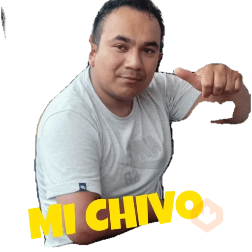 Mis pegatinas sticker 21