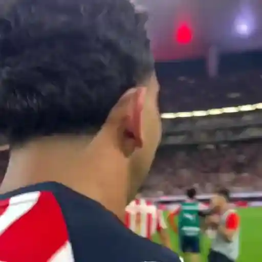 chivas 2026 sticker 15