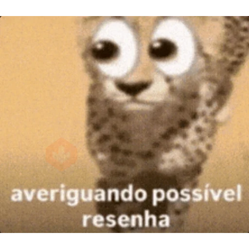 gato testudo sticker 16