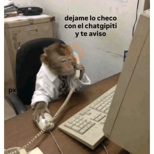 🙈 MONITOS CON FRASES 🙈 sticker 13