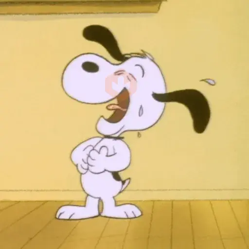 Snoopy/hayley sticker 13