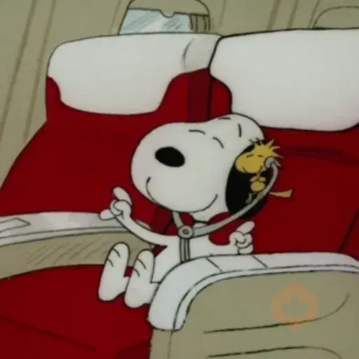 Snoopy/hayley sticker 21