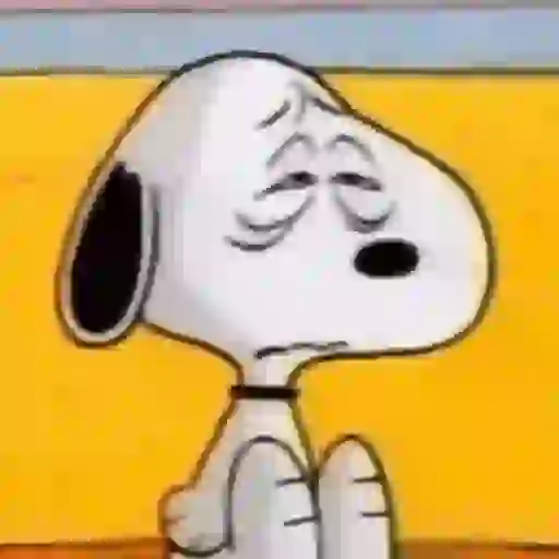 Snoopy/hayley sticker 17
