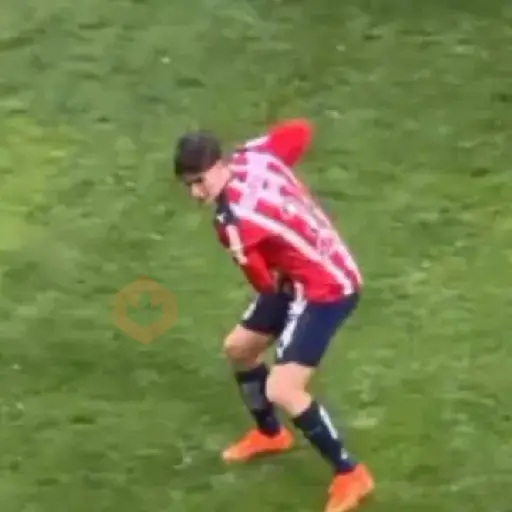 hormiga gonzalez♥️Chivas ⚽🥅 sticker 24