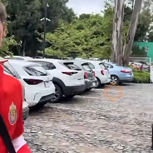 hormiga gonzalez♥️Chivas ⚽🥅 sticker 29