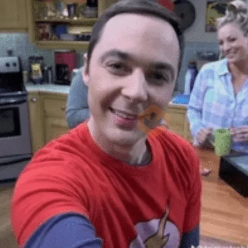 tiktok memes sticker 14