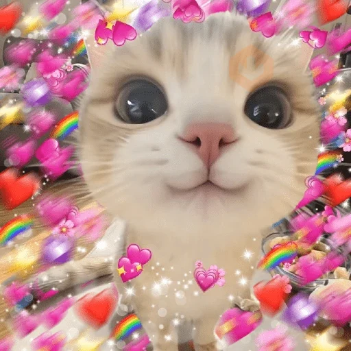 💞💖 AMOR 18 💖💞 sticker 15