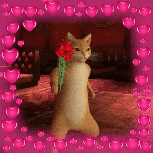 Gatos enamorados - Tiktok 💕❤️ sticker 16