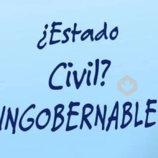 🎵Stickers de TIKTOK 8🔥FRASES🎵 sticker 30
