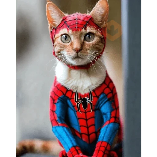 Gato homem aranha sticker 15