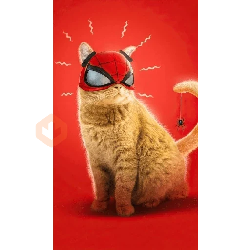 Gato homem aranha sticker 20