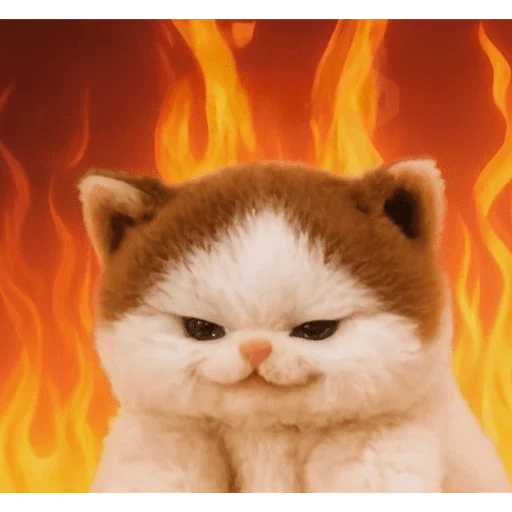 Gatos sticker 15