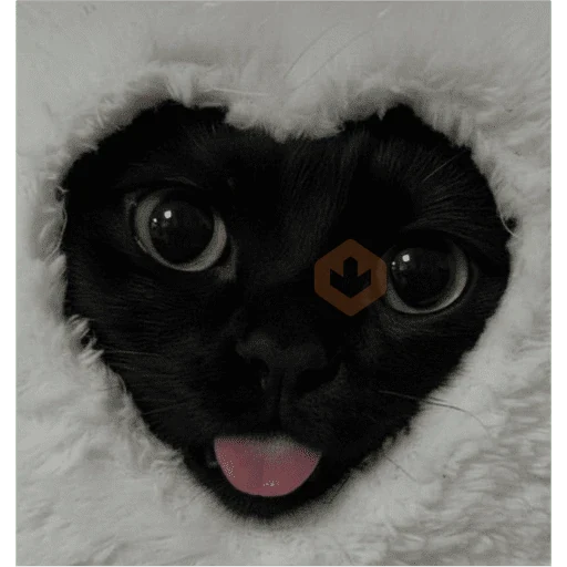 Gatos sticker 14
