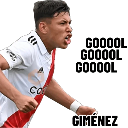 new gol sticker 24