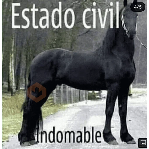 tik tok memes sticker 16