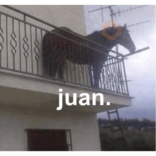 tik tok memes sticker 15