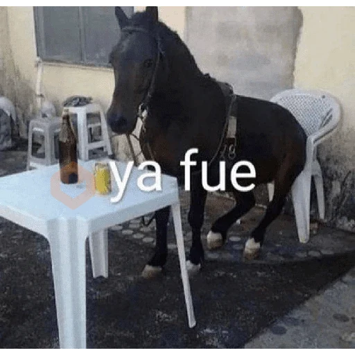 tik tok memes sticker 20