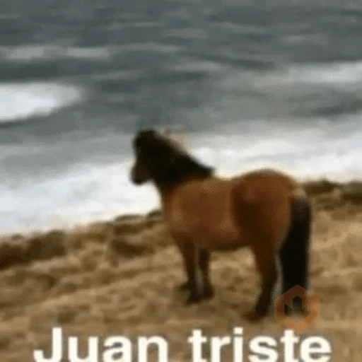 tik tok memes sticker 21