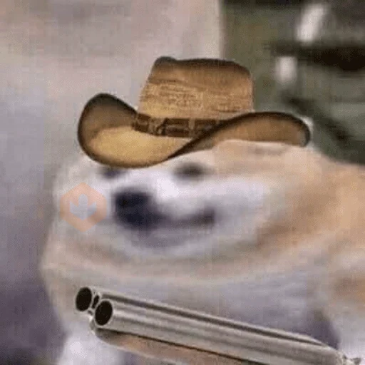 tik tok memes sticker 22
