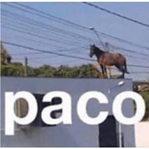 tik tok memes sticker 11
