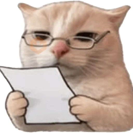 memes sticker ramdon sticker 28