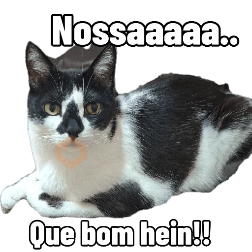 gato sticker 24