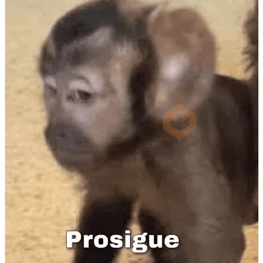 memes variados sticker 11