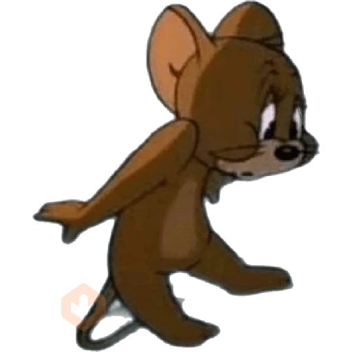 memes variados sticker 12