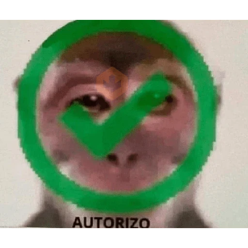 memes variados sticker 18