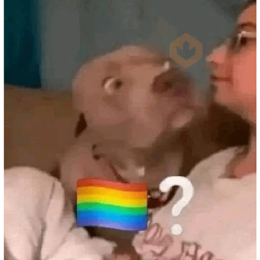 memes variados sticker 15