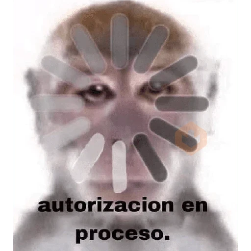 memes variados sticker 17