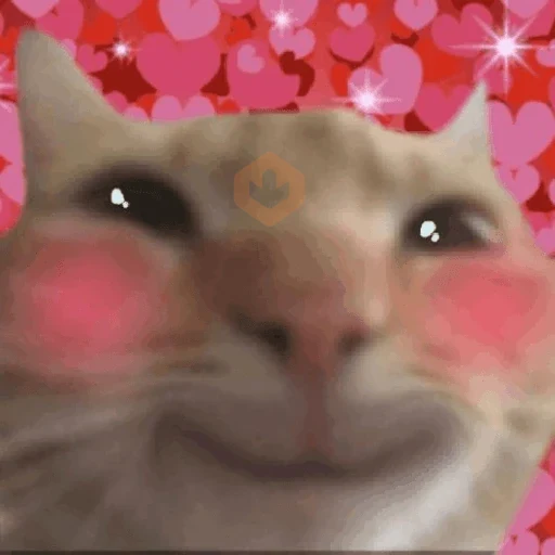 amor sticker 13