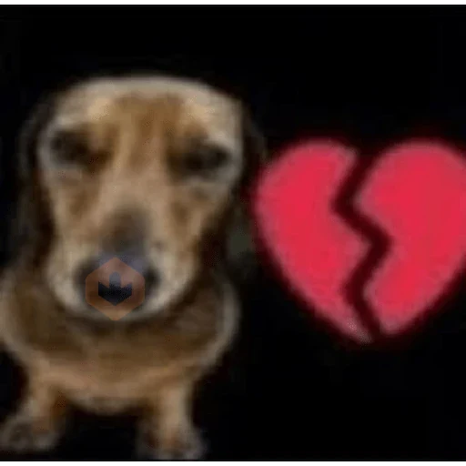 amor sticker 16