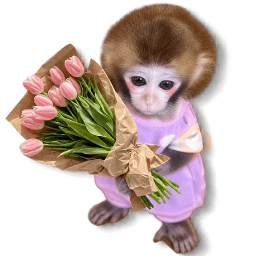 ❤️💐 AMOR ♡ RAMOS 💐❤️ sticker 17