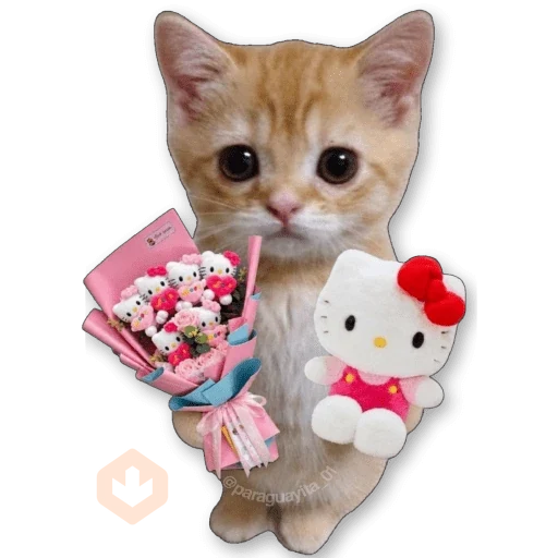 ❤️💐 AMOR ♡ RAMOS 💐❤️ sticker 12
