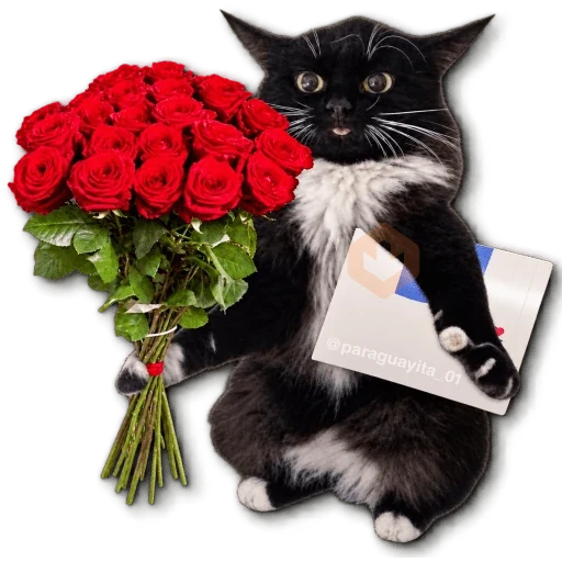 ❤️💐 AMOR ♡ RAMOS 💐❤️ sticker 11