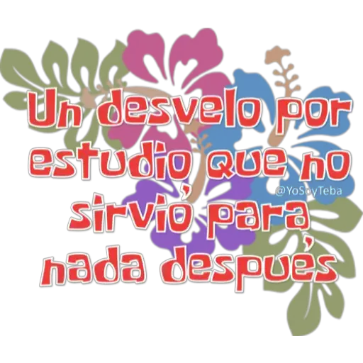 Letreros bob esponja 